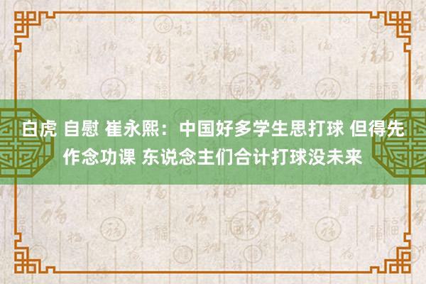 白虎 自慰 崔永熙：中国好多学生思打球 但得先作念功课 东说念主们合计打球没未来
