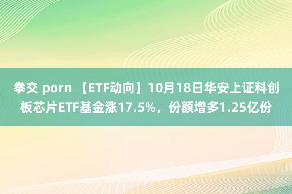 拳交 porn 【ETF动向】10月18日华安上证科创板芯片ETF基金涨17.5%，份额增多1.25亿份