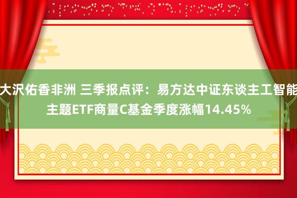 大沢佑香非洲 三季报点评：易方达中证东谈主工智能主题ETF商量C基金季度涨幅14.45%