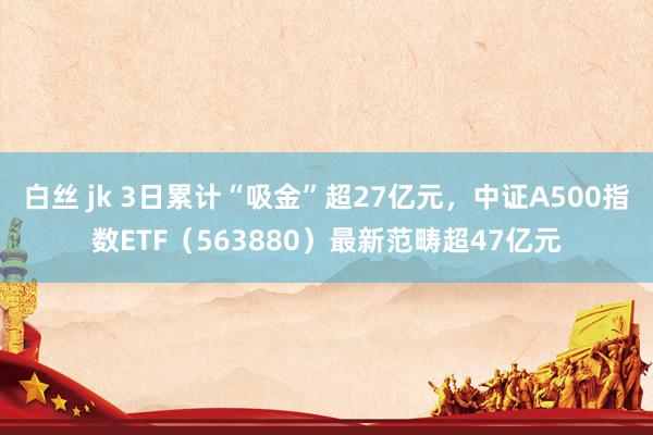 白丝 jk 3日累计“吸金”超27亿元，中证A500指数ETF（563880）最新范畴超47亿元