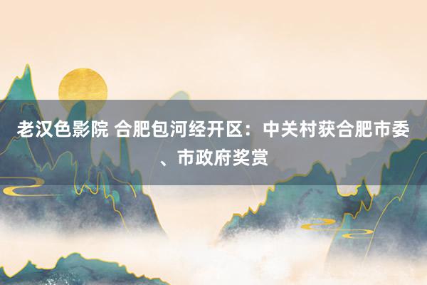 老汉色影院 合肥包河经开区：中关村获合肥市委、市政府奖赏