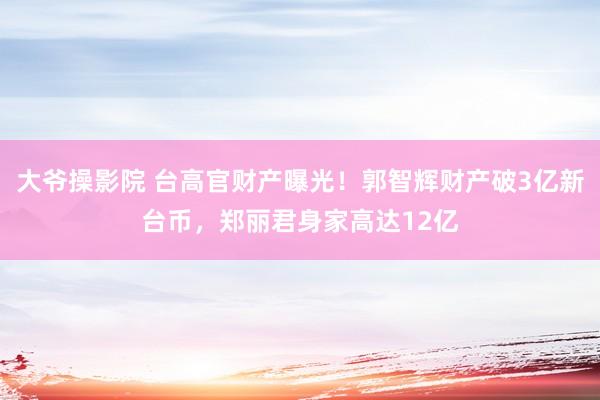大爷操影院 台高官财产曝光！郭智辉财产破3亿新台币，郑丽君身家高达12亿