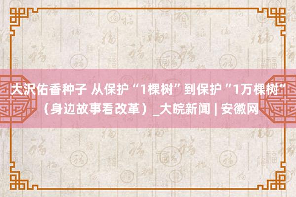大沢佑香种子 从保护“1棵树”到保护“1万棵树”（身边故事看改革）_大皖新闻 | 安徽网