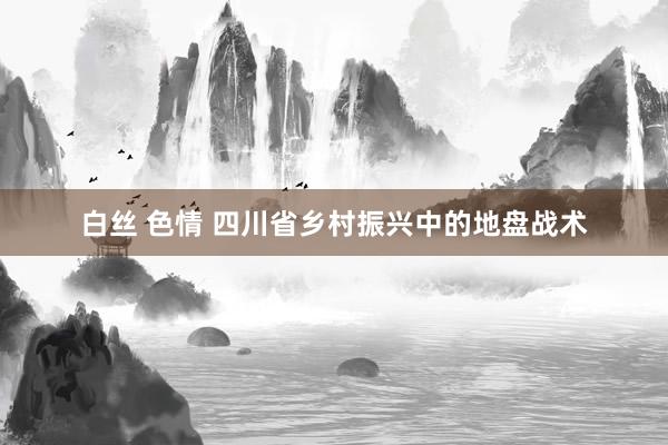 白丝 色情 四川省乡村振兴中的地盘战术