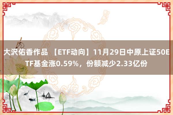 大沢佑香作品 【ETF动向】11月29日中原上证50ETF基金涨0.59%，份额减少2.33亿份