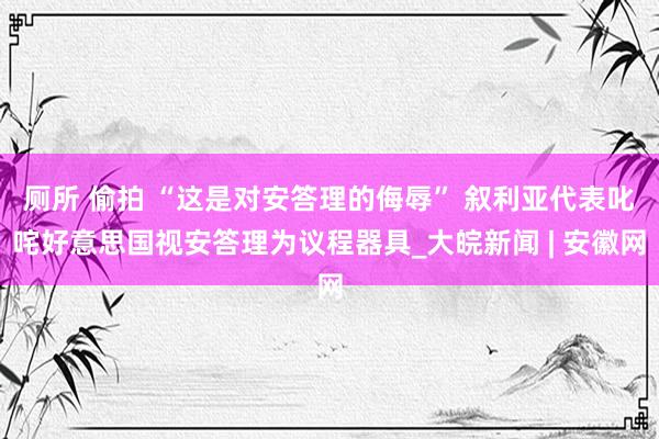 厕所 偷拍 “这是对安答理的侮辱” 叙利亚代表叱咤好意思国视安答理为议程器具_大皖新闻 | 安徽网