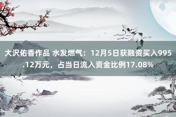 大沢佑香作品 水发燃气：12月5日获融资买入995.12万元，占当日流入资金比例17.08%