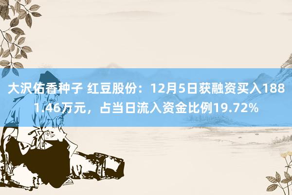 大沢佑香种子 红豆股份：12月5日获融资买入1881.46万元，占当日流入资金比例19.72%