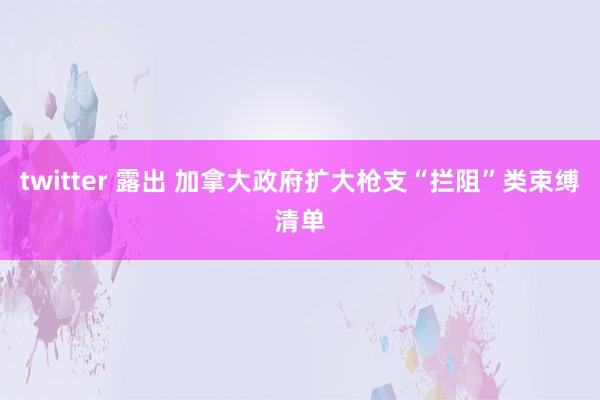 twitter 露出 加拿大政府扩大枪支“拦阻”类束缚清单