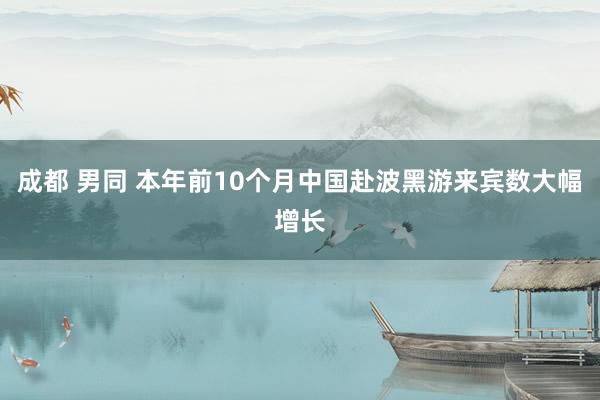 成都 男同 本年前10个月中国赴波黑游来宾数大幅增长