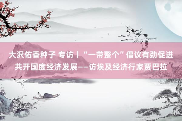 大沢佑香种子 专访丨“一带整个”倡议有劲促进共开国度经济发展——访埃及经济行家贾巴拉
