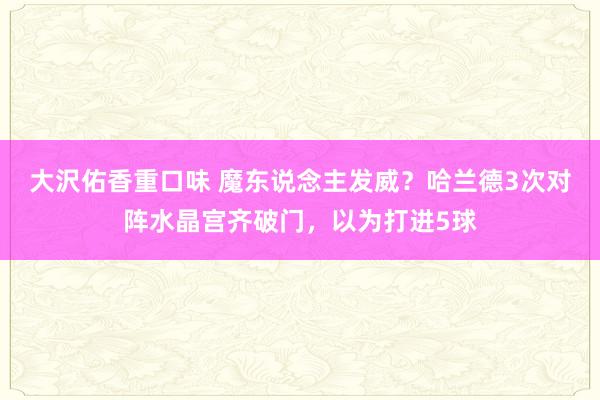 大沢佑香重口味 魔东说念主发威？哈兰德3次对阵水晶宫齐破门，以为打进5球