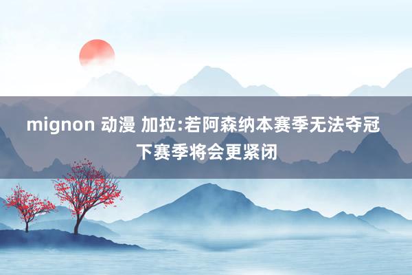 mignon 动漫 加拉:若阿森纳本赛季无法夺冠 下赛季将会更紧闭