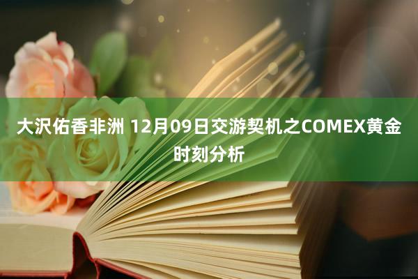 大沢佑香非洲 12月09日交游契机之COMEX黄金时刻分析