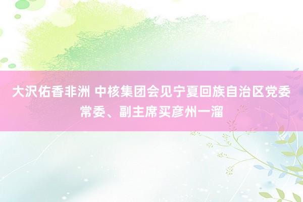 大沢佑香非洲 中核集团会见宁夏回族自治区党委常委、副主席买彦州一溜