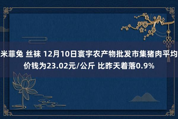 米菲兔 丝袜 12月10日寰宇农产物批发市集猪肉平均价钱为23.02元/公斤 比昨天着落0.9%