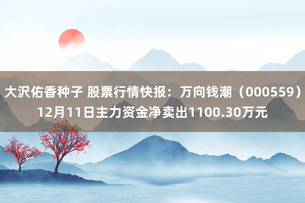 大沢佑香种子 股票行情快报：万向钱潮（000559）12月11日主力资金净卖出1100.30万元