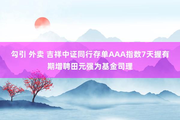 勾引 外卖 吉祥中证同行存单AAA指数7天握有期增聘田元强为基金司理