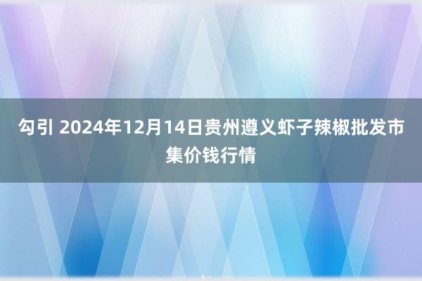 勾引 2024年12月14日贵州遵义虾子辣椒批发市集价钱行情