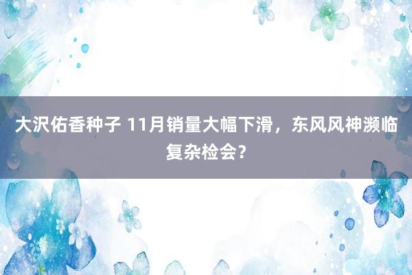 大沢佑香种子 11月销量大幅下滑，东风风神濒临复杂检会？