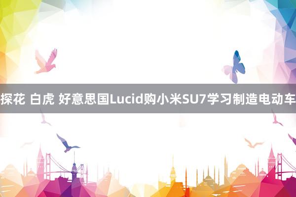 探花 白虎 好意思国Lucid购小米SU7学习制造电动车