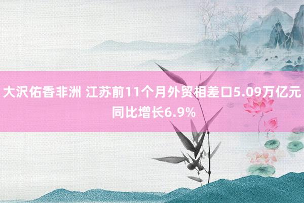 大沢佑香非洲 江苏前11个月外贸相差口5.09万亿元 同比增长6.9%