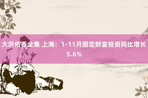 大沢佑香全集 上海：1-11月固定财富投资同比增长5.6%