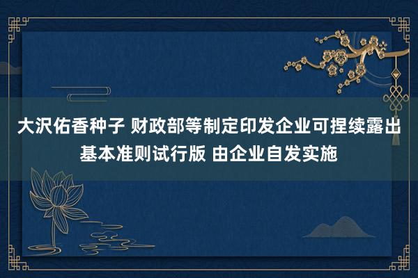 大沢佑香种子 财政部等制定印发企业可捏续露出基本准则试行版 由企业自发实施