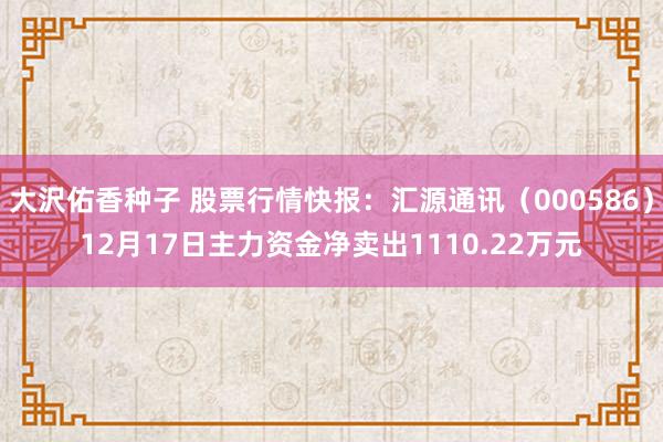 大沢佑香种子 股票行情快报：汇源通讯（000586）12月17日主力资金净卖出1110.22万元