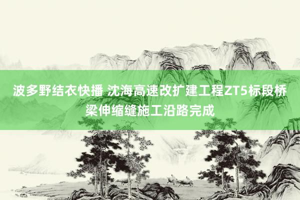 波多野结衣快播 沈海高速改扩建工程ZT5标段桥梁伸缩缝施工沿路完成