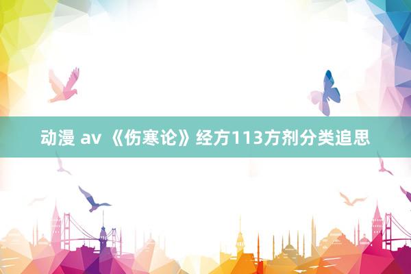 动漫 av 《伤寒论》经方113方剂分类追思