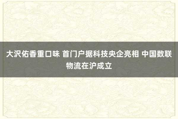 大沢佑香重口味 首门户据科技央企亮相 中国数联物流在沪成立