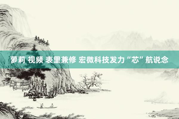 萝莉 视频 表里兼修 宏微科技发力“芯”航说念