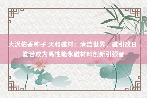 大沢佑香种子 天和磁材：清洁世界、磁引改日 勤苦成为高性能永磁材料创新引颈者