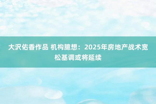 大沢佑香作品 机构臆想：2025年房地产战术宽松基调或将延续