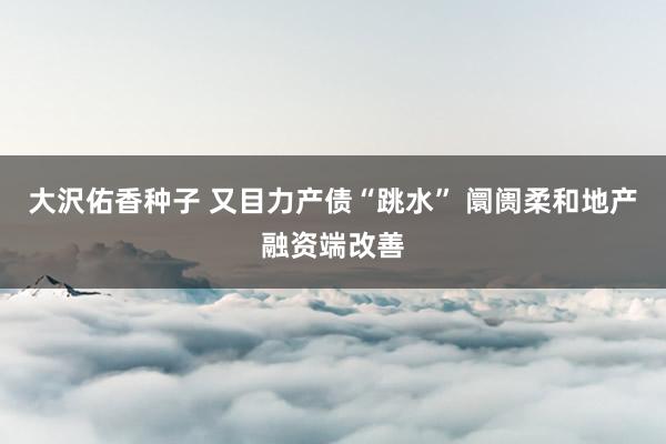 大沢佑香种子 又目力产债“跳水” 阛阓柔和地产融资端改善