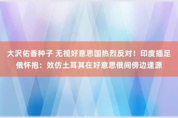 大沢佑香种子 无视好意思国热烈反对！印度插足俄怀抱：效仿土耳其在好意思俄间傍边逢源