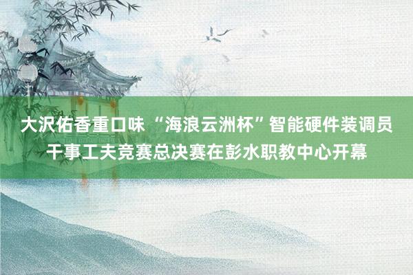 大沢佑香重口味 “海浪云洲杯”智能硬件装调员干事工夫竞赛总决赛在彭水职教中心开幕