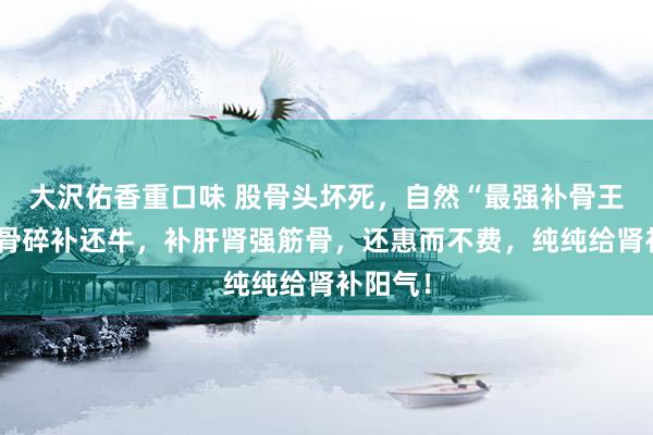 大沢佑香重口味 股骨头坏死，自然“最强补骨王”，比骨碎补还牛，补肝肾强筋骨，还惠而不费，纯纯给肾补阳气！