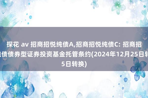 探花 av 招商招悦纯债A,招商招悦纯债C: 招商招悦纯债债券型证券投资基金托管条约(2024年12月25日转换)