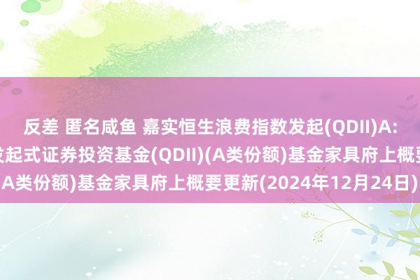 反差 匿名咸鱼 嘉实恒生浪费指数发起(QDII)A: 嘉实恒生浪费指数型发起式证券投资基金(QDII)(A类份额)基金家具府上概要更新(2024年12月24日)