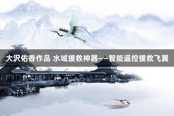 大沢佑香作品 水域援救神器——智能遥控援救飞翼