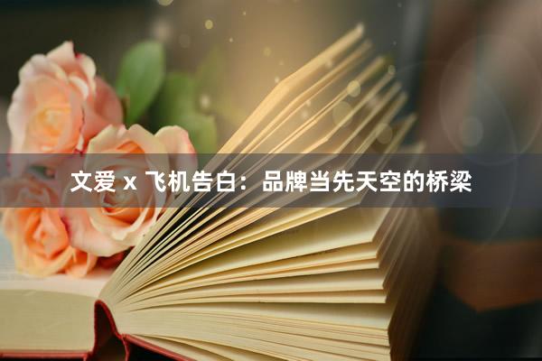 文爱 x 飞机告白：品牌当先天空的桥梁
