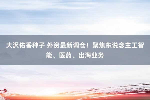 大沢佑香种子 外资最新调仓！聚焦东说念主工智能、医药、出海业务