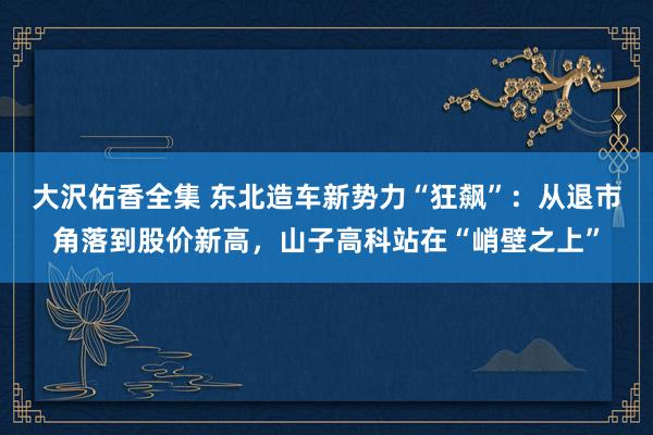 大沢佑香全集 东北造车新势力“狂飙”：从退市角落到股价新高，山子高科站在“峭壁之上”