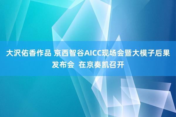 大沢佑香作品 京西智谷AICC现场会暨大模子后果发布会  在京奏凯召开