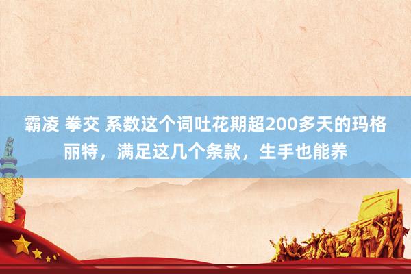 霸凌 拳交 系数这个词吐花期超200多天的玛格丽特，满足这几个条款，生手也能养