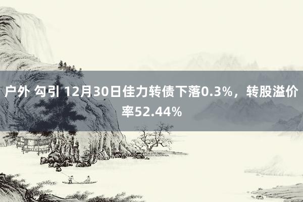 户外 勾引 12月30日佳力转债下落0.3%，转股溢价率52.44%
