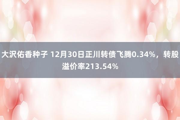 大沢佑香种子 12月30日正川转债飞腾0.34%，转股溢价率213.54%