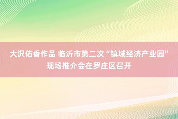 大沢佑香作品 临沂市第二次“镇域经济产业园”现场推介会在罗庄区召开